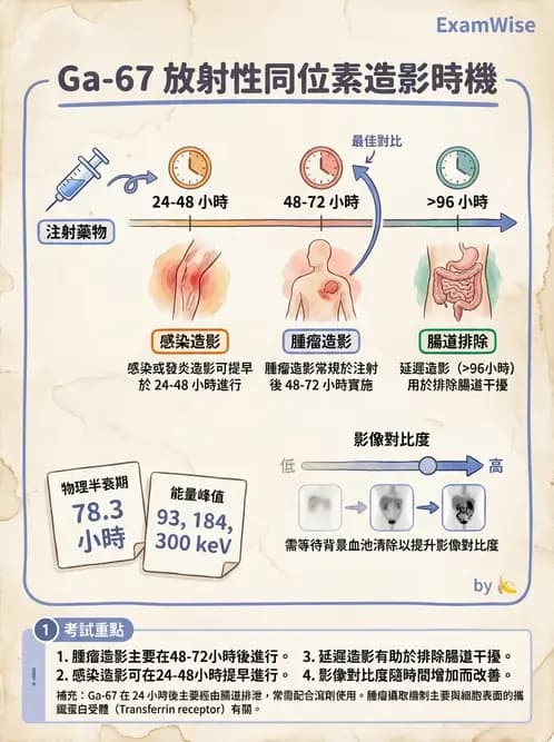 放射 - FDG PET造影 - AI 圖文解析預覽