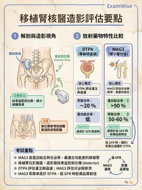 放射 - 腎臟造影 - AI 圖文解析預覽