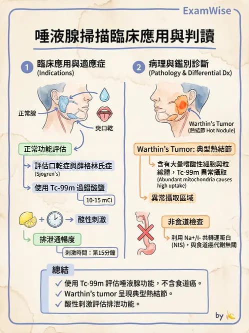 放射 - 消化道造影 - AI 圖文解析預覽