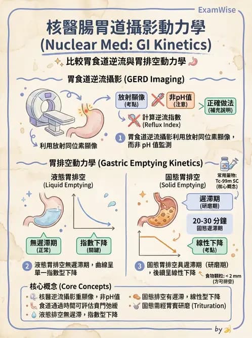 放射 - 消化道造影 - AI 圖文解析預覽