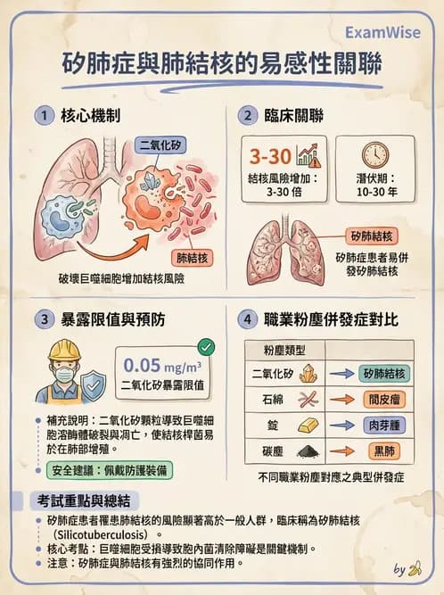 放射 - 呼吸系統疾病 - AI 圖文解析預覽