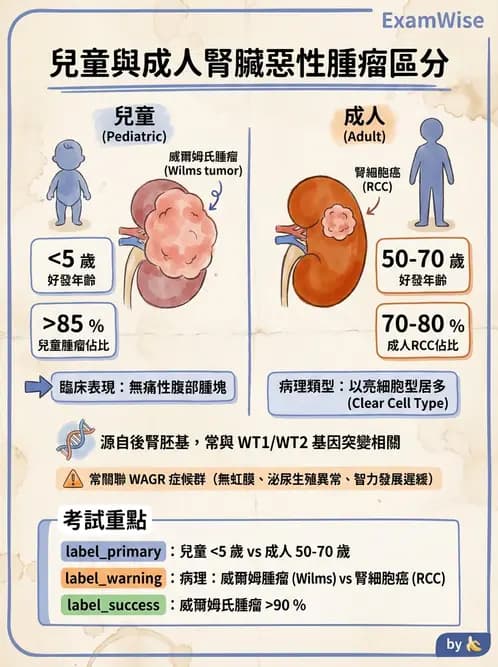 放射 - 遺傳疾病與小兒疾病 - AI 圖文解析預覽
