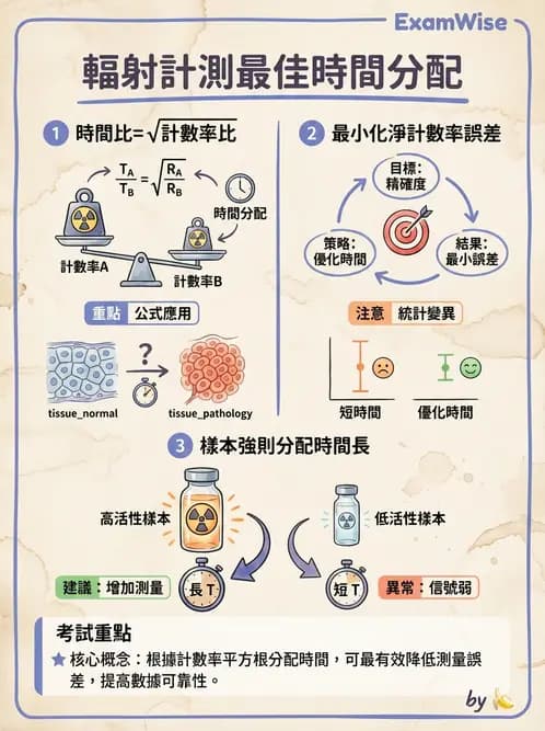放射 - 放射計數統計 - AI 圖文解析預覽