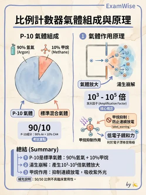 放射 - 充氣式偵檢器 - AI 圖文解析預覽