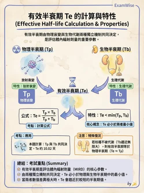 放射 - 體內劑量 - AI 圖文解析預覽