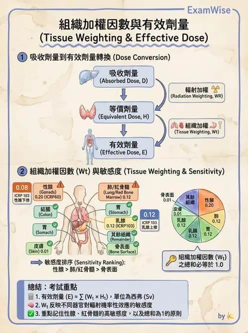 放射 - 輻射防護劑量量 - AI 圖文解析預覽