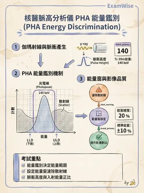 放射 - 核子醫學物理 - AI 圖文解析預覽