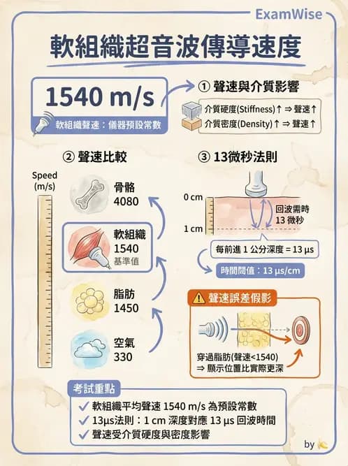 放射 - 超音波物理與換能器 - AI 圖文解析預覽
