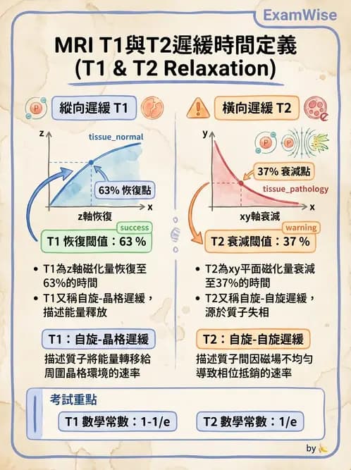 放射 - MRI基本物理與弛緩 - AI 圖文解析預覽
