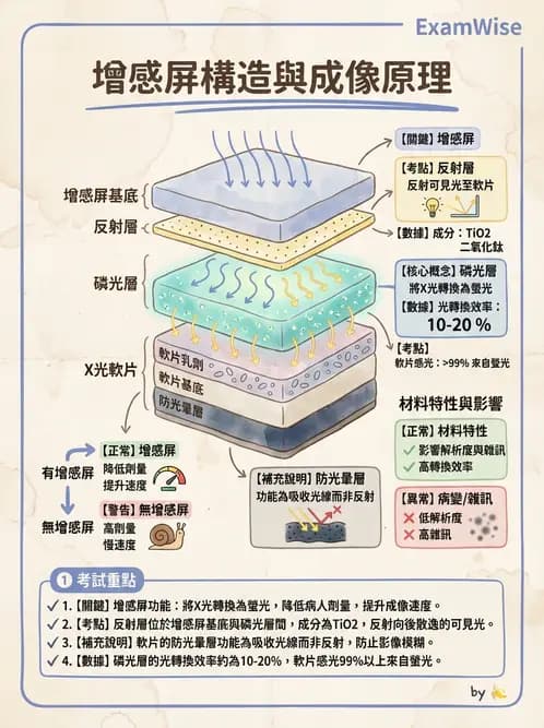 放射 - 影像接受器與乳房攝影 - AI 圖文解析預覽
