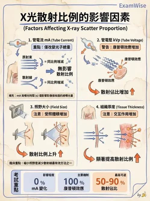 放射 - X光成像系統與影像品質 - AI 圖文解析預覽
