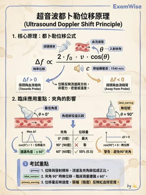 放射 - 都普勒超音波 - AI 圖文解析預覽
