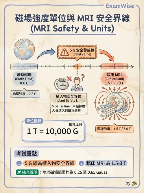 放射 - 主磁場、磁鐵類型與勻場 - AI 圖文解析預覽