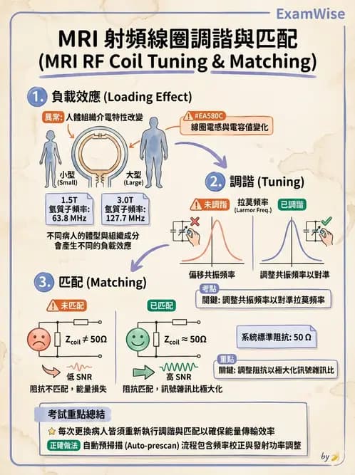 放射 - 射頻系統與線圈 - AI 圖文解析預覽