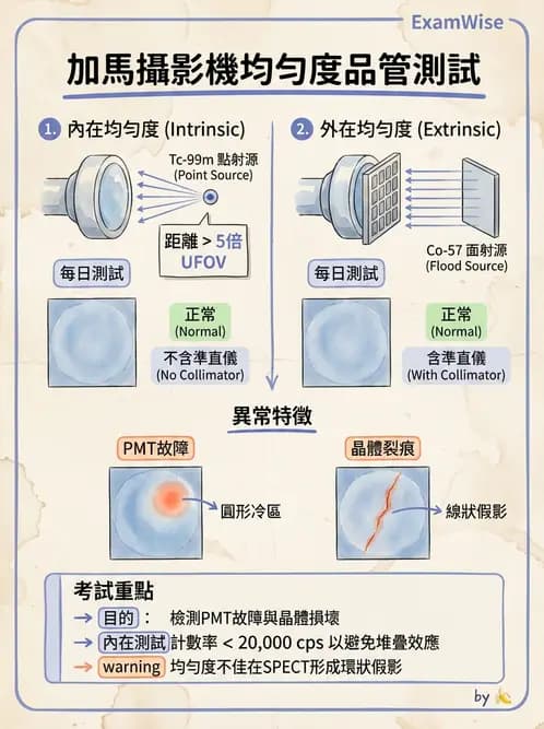平面影像 - 影像儀器設備 - AI 圖文解析預覽