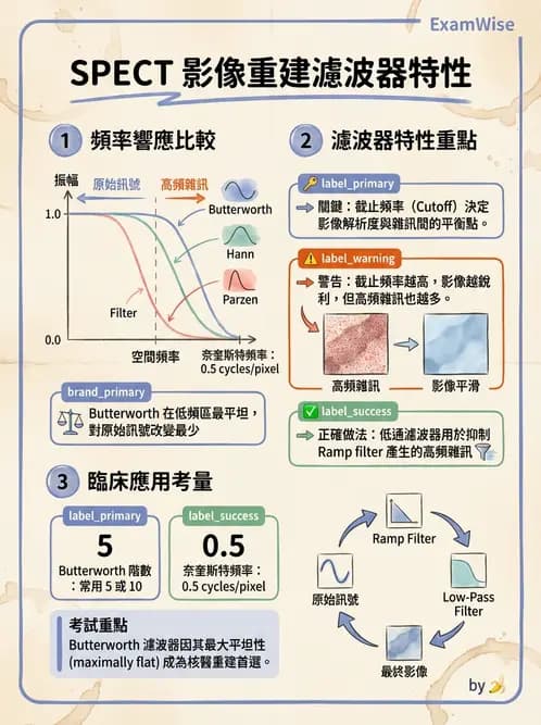 放射 - SPECT影像重建與濾波 - AI 圖文解析預覽