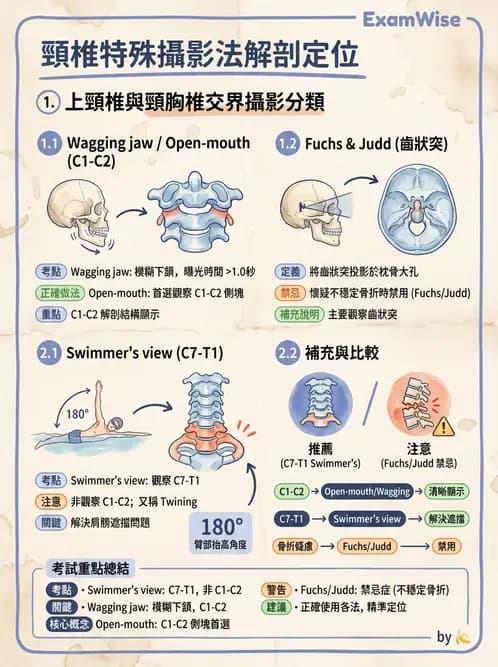 放射 - 頭頸脊椎攝影技術 - AI 圖文解析預覽