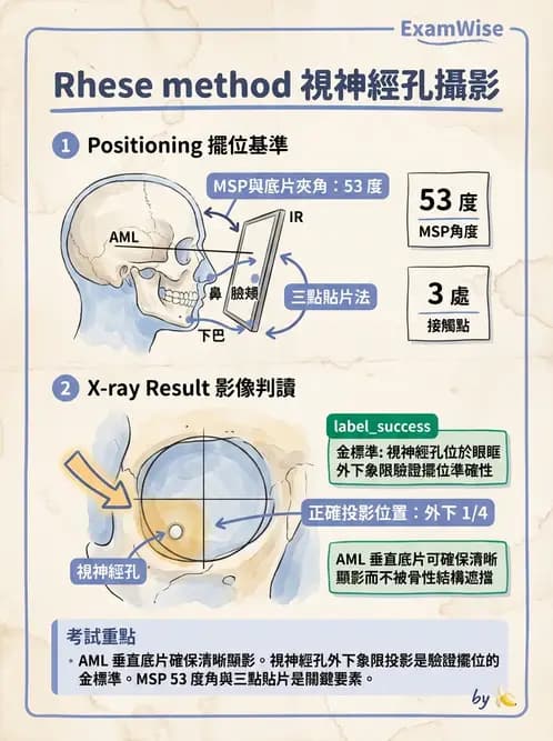 放射 - 頭頸脊椎攝影技術 - AI 圖文解析預覽