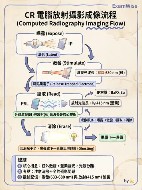 放射 - 數位影像原理與處理技術 - AI 圖文解析預覽