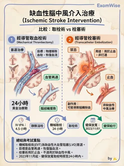 放射 - 導管技術與介入性治療 - AI 圖文解析預覽