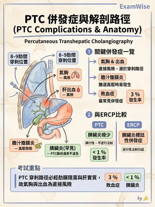 放射 - 導管技術與介入性治療 - AI 圖文解析預覽