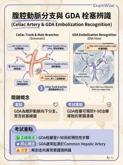 放射 - 導管技術與介入性治療 - AI 圖文解析預覽