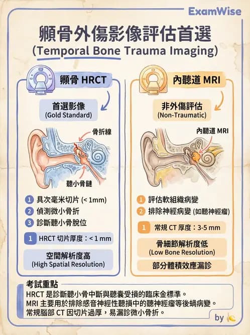 放射 - 頭頸部CT診斷 - AI 圖文解析預覽