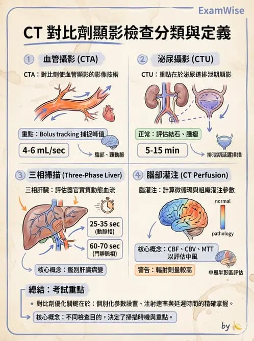 放射 - CTA與CT影像技術應用 - AI 圖文解析預覽