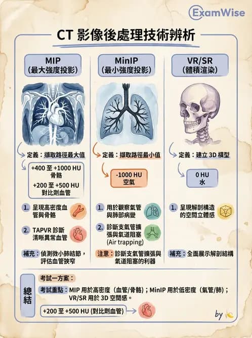 放射 - CTA與CT影像技術應用 - AI 圖文解析預覽