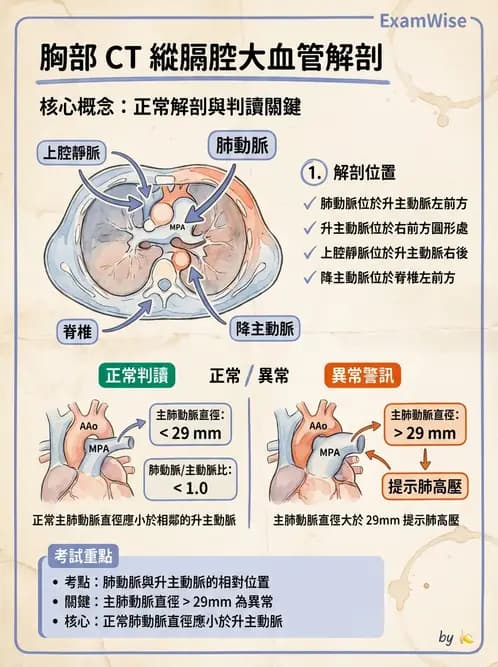 放射 - 胸腹部CT診斷 - AI 圖文解析預覽