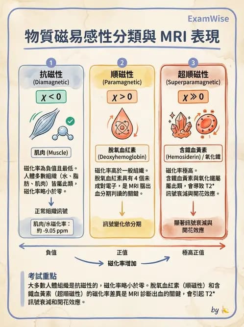 放射 - 磁振造影原理 - AI 圖文解析預覽