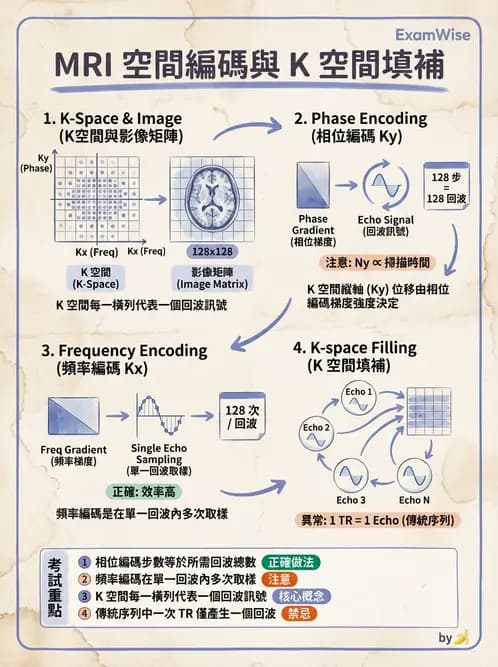 放射 - 磁振造影原理 - AI 圖文解析預覽