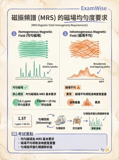 放射 - MRI脈衝序列與訊號技術 - AI 圖文解析預覽