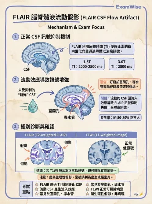 放射 - 磁振影像品質與參數 - AI 圖文解析預覽