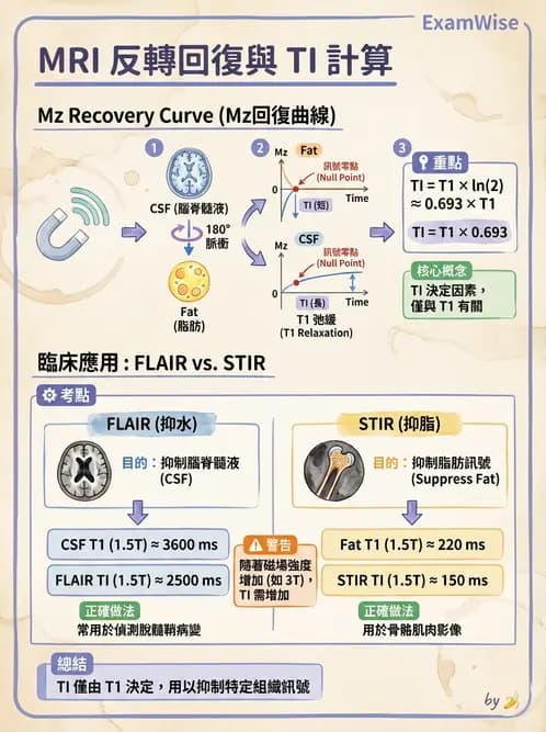 放射 - MRI脈衝序列與訊號技術 - AI 圖文解析預覽