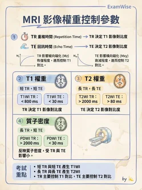 放射 - MRI脈衝序列與訊號技術 - AI 圖文解析預覽