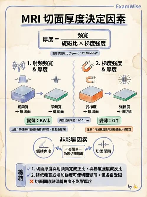 放射 - MRI脈衝序列與訊號技術 - AI 圖文解析預覽
