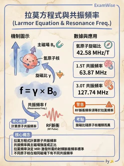 放射 - 磁振造影原理 - AI 圖文解析預覽