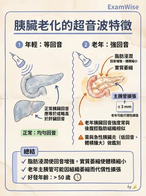放射 - 膽胰脾超音波 - AI 圖文解析預覽