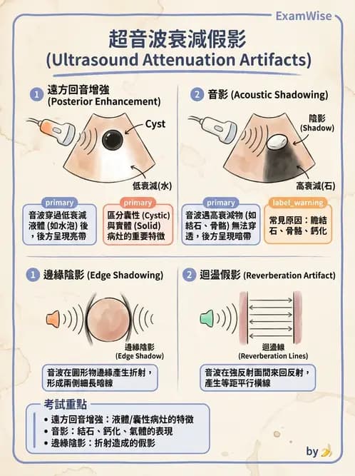 放射 - 超音波物理與技術 - AI 圖文解析預覽