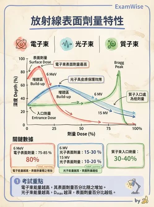 放射 - 劑量增建、散射因子與假體量測 - AI 圖文解析預覽