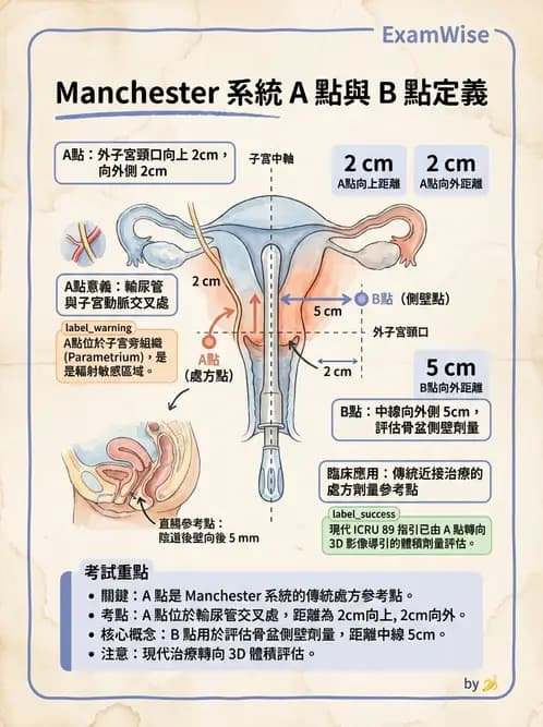 放射 - 腔內近接治療 - AI 圖文解析預覽