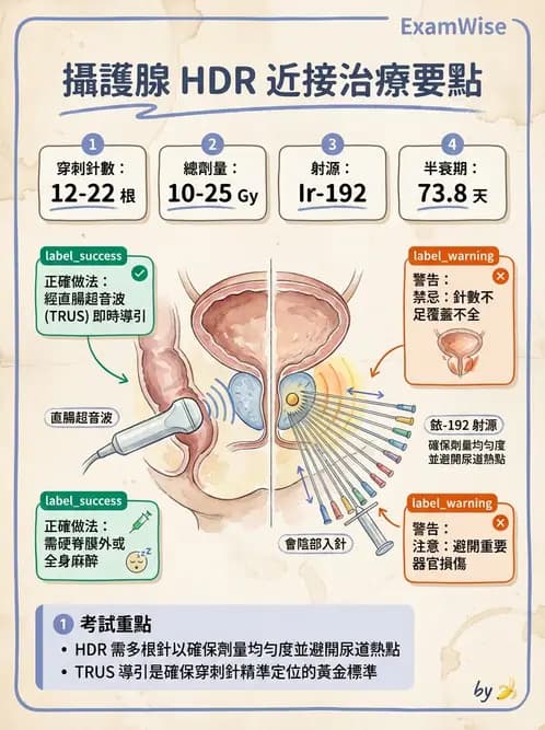 放射 - 插種近接治療 - AI 圖文解析預覽