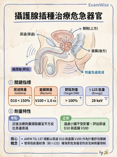 放射 - 插種近接治療 - AI 圖文解析預覽