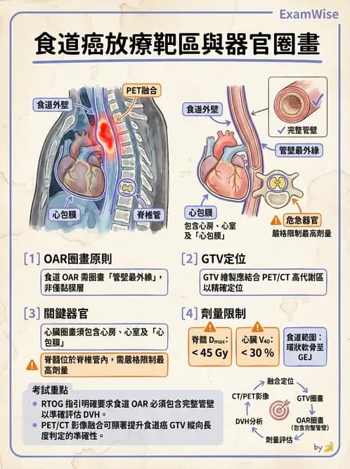 放射 - 疾病部位計畫與危急器官保護 - AI 圖文解析預覽