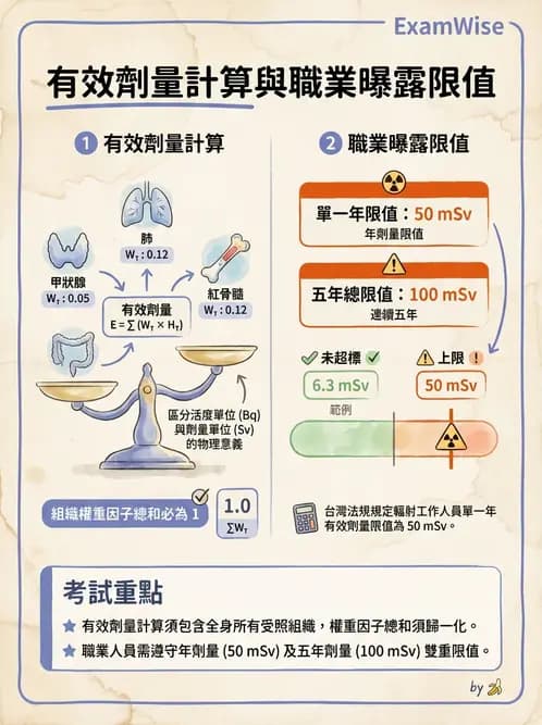 放射 - 放射治療輻射防護 - AI 圖文解析預覽
