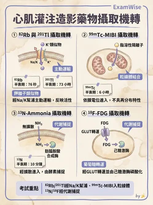 放射 - PET藥物基礎與心臟造影 - AI 圖文解析預覽