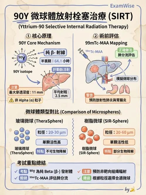 放射 - 腫瘤治療 - AI 圖文解析預覽