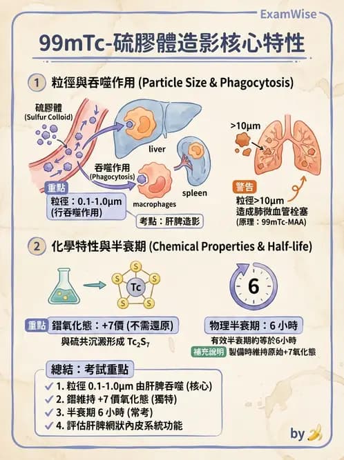 放射 - 肺肝膽與製劑通則 - AI 圖文解析預覽