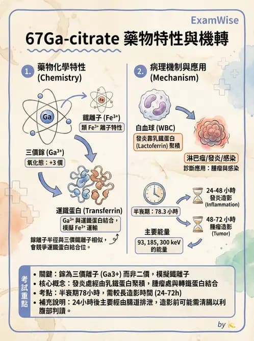 放射 - 肺肝膽與製劑通則 - AI 圖文解析預覽